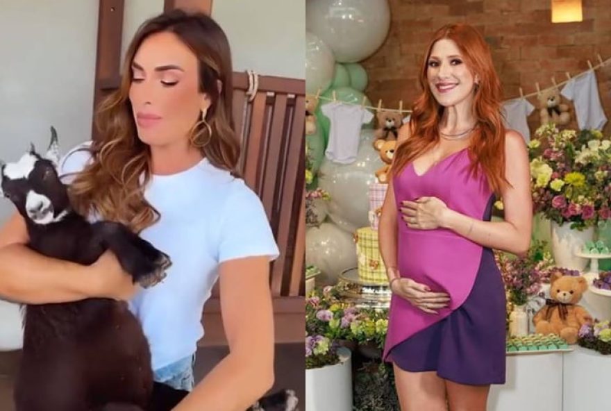 22nicole-bahls-brinca-com-coincidencia3A-cabra-dani-calabresa-gravida-como-humorista22