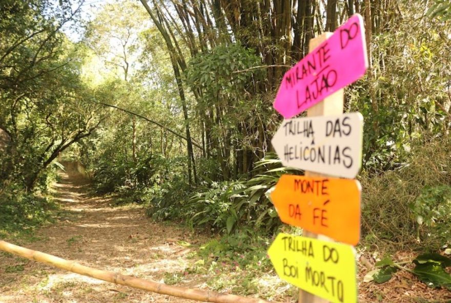 22parque-dos-morros-em-santos3A-preservacao-ambiental-e-educacao-para-todos22