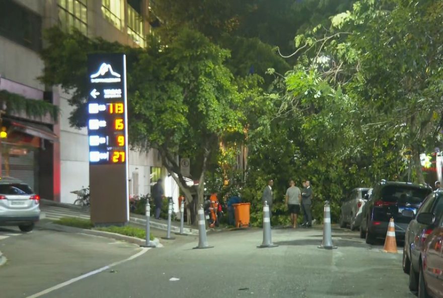 arvore-cai-e-interdita-rua-no-leblon3A-transito-intenso-na-zona-sul-do-rio