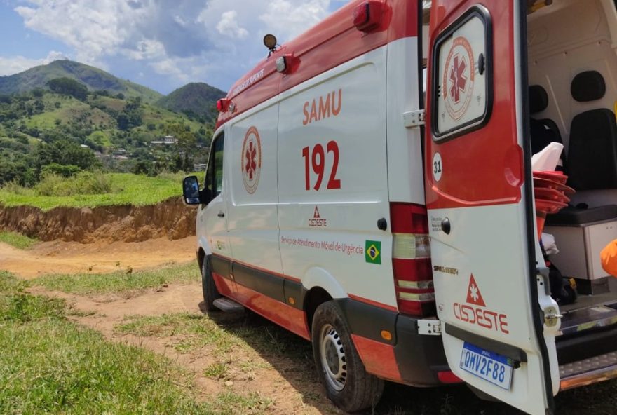 ataque-de-abelhas-em-trabalhador-em-juiz-de-fora3A-como-agir-em-situacoes-de-emergencia