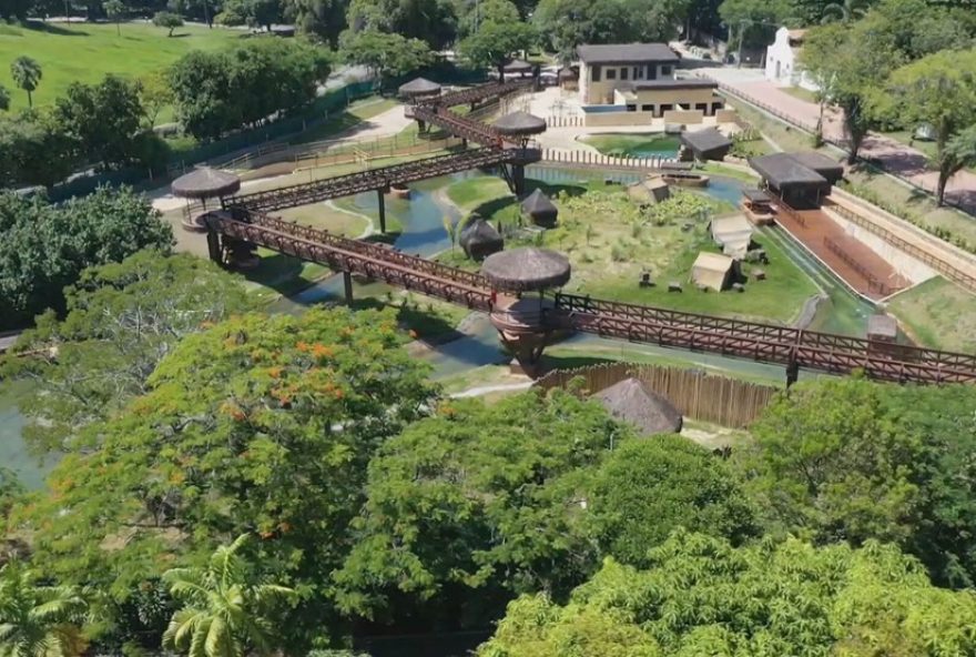 bioparque-do-rio-fecha-temporariamente-apos-morte-de-aves3A-saiba-mais