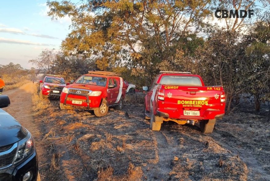 dois-servidores-do-ibge-morrem-em-incendio-florestal-no-df3A-ministra-marina-silva-confirma-incidente.-medidas-preventivas-sao-essenciais