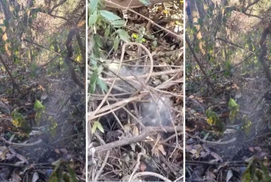 fumaca-misteriosa-preocupa-moradores-em-franca2C-sp3A-area-entre-o-parque-do-horto-e-santa-teresinha-ameacada-pelo-risco-de-incendio