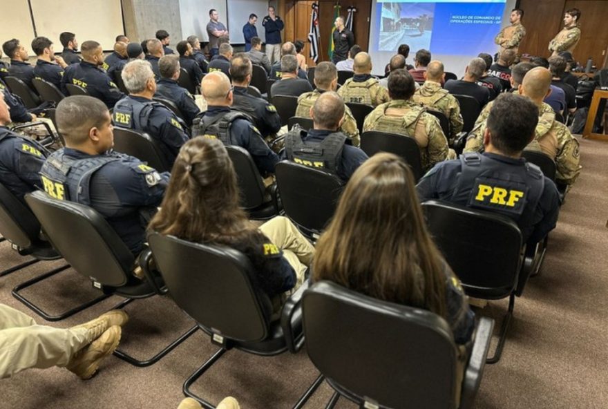 gaeco2C-prf-e-pm-desmontam-esquema-de-fraude-de-documentos-em-operacao-conjunta