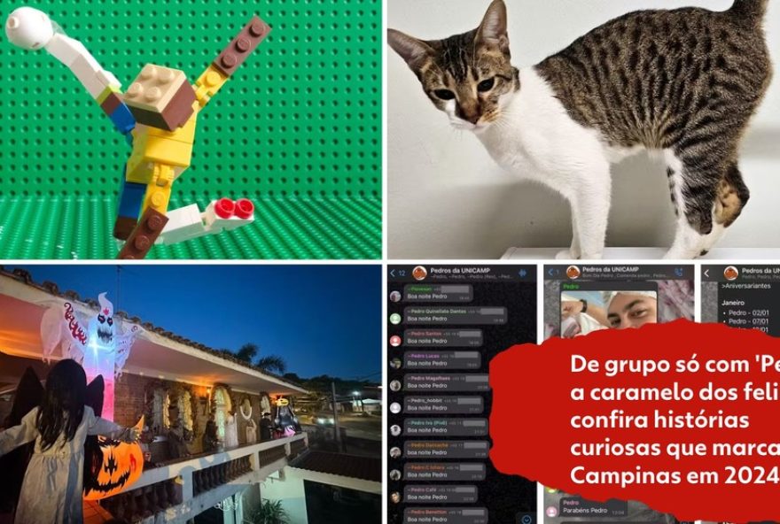 historias-curiosas3A-grupo-pedros-e-caramelo-dos-felinos-marcam-campinas-2024