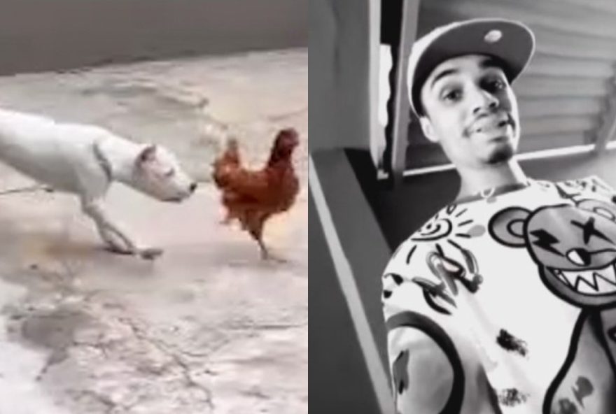 influenciador-e-preso-por-maus-tratos-a-caes-apos-jogar-galinhas-vivas