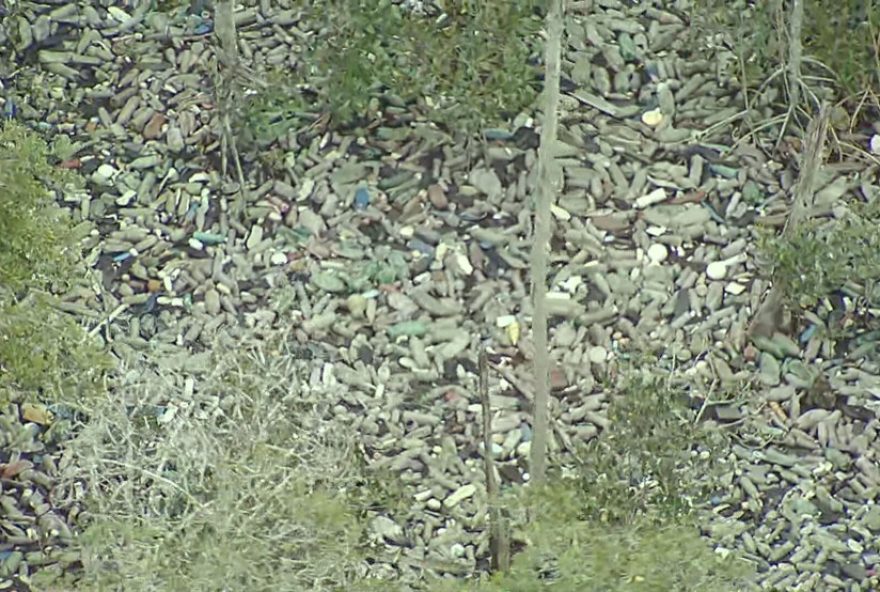 inspecao-do-icmbio-em-area-de-mangue-poluida-na-baia-de-guanabara