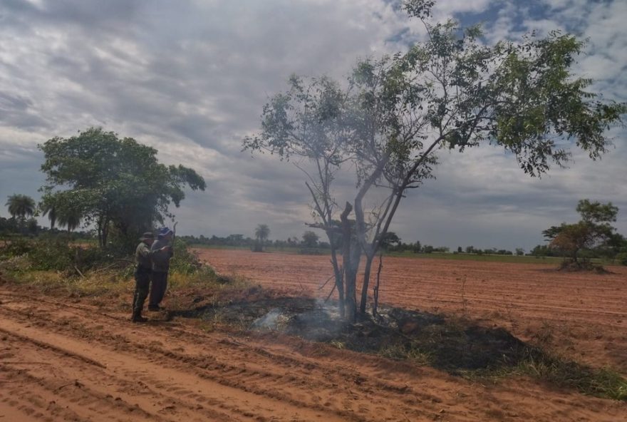 lavrador-e-multado-em-r24-72C9-mil-por-danificar-arvores-nativas-em-propriedade-rural2C-em-rosana3A-exemplo-de-desrespeito-a-natureza