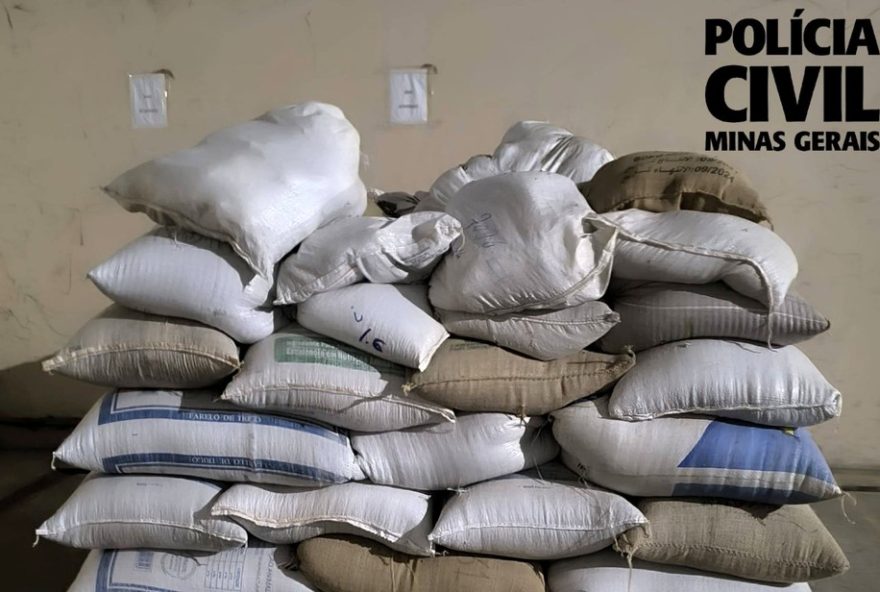 operacao-policial-em-varginha-apreende-sacas-de-cafe-avaliadas-em-mais-de-r24130-mil