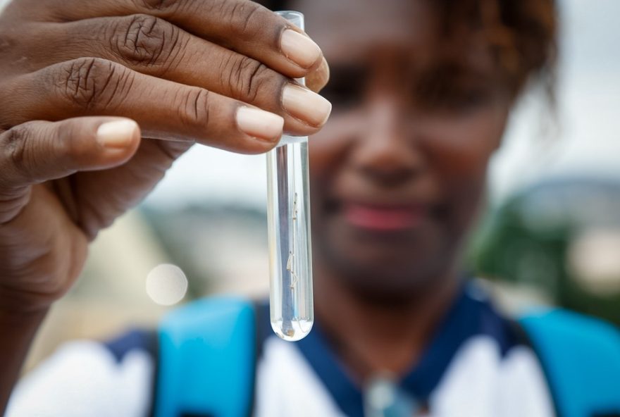 prevencao-da-dengue-no-carnaval-do-rio3A-acoes-intensificadas-no-sambodromo