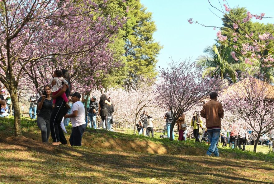 previsao-do-tempo-em-sao-paulo3A-calor-de-quase-30degc-neste-domingo2C-seguido-de-frio-e-chuva-durante-a-semana.-confira