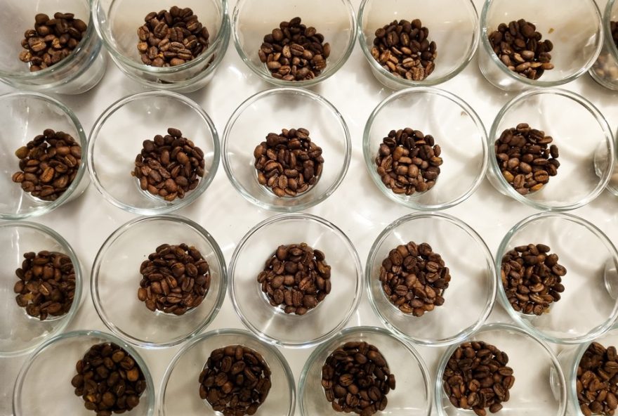 produtores-de-piumhi-se-destacam-no-concurso-de-qualidade-dos-cafes-de-minas-gerais-20243A-confira-os-vencedoresrophe