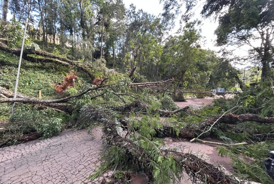 restabelecimento-de-agua-e-energia-em-juiz-de-fora-apos-temporal3A-atualizacoes-e-previsoes