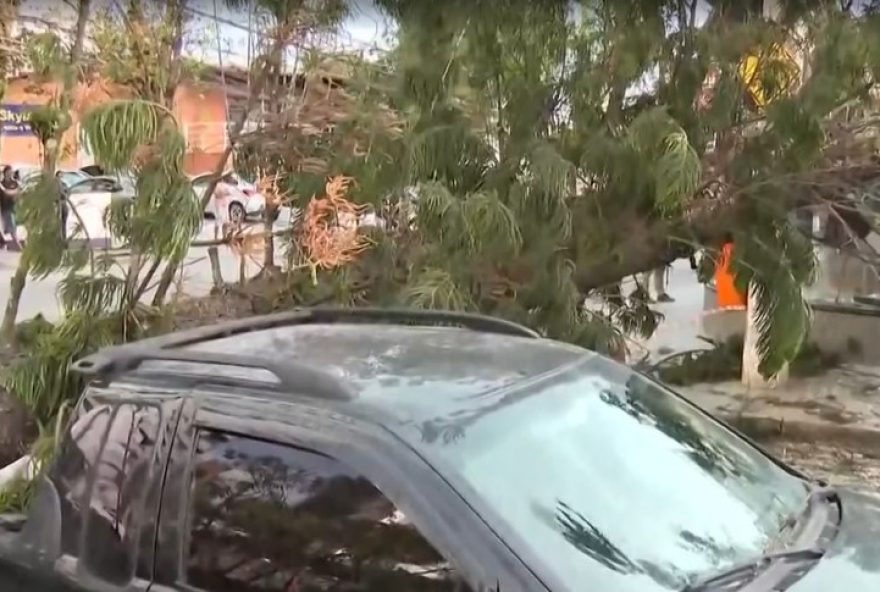 vendaval-em-sao-bernardo-do-campo-e-grande-sp3A-arvore-cai-e-quase-atinge-pedestres-e-ciclista-danos2C-precaucoes-e-previsao-do-tempo