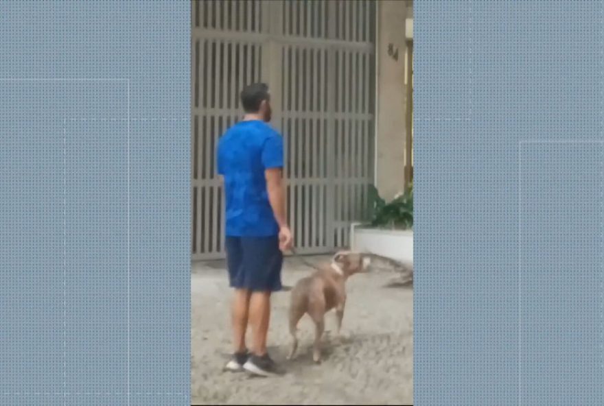 vendedor-de-coco-e-atacado-por-pitbull-em-copacabana3A-lei-estadual-determina-uso-de-focinheira